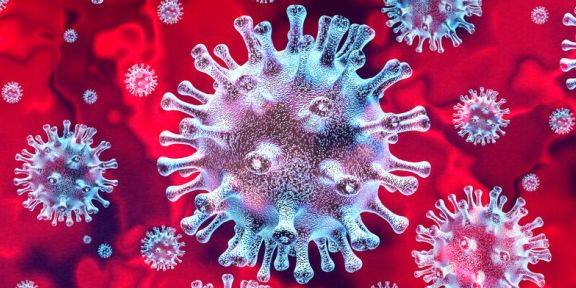 Ruszyła dodatkowa akcja szczepienia lisów